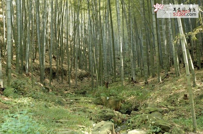 紫砂壶图片：喝茶陆和村 转 - 美壶网