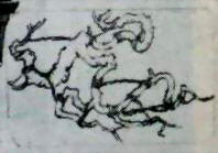 中国盆景欣赏及制作之三 - 乘成 - 乘成休闲吧