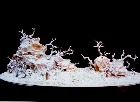 中国盆景欣赏及制作之六 - 乘成 - 乘成休闲吧