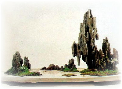 中国盆景欣赏及制作之六 - 乘成 - 乘成休闲吧