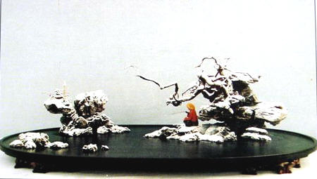 中国盆景欣赏及制作之六 - 乘成 - 乘成休闲吧