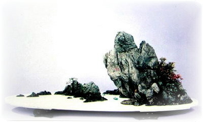 中国盆景欣赏及制作之六 - 乘成 - 乘成休闲吧