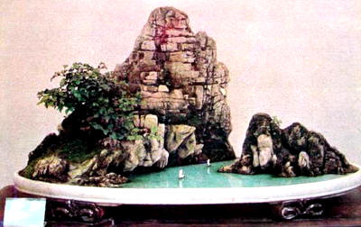 中国盆景欣赏及制作之六 - 乘成 - 乘成休闲吧