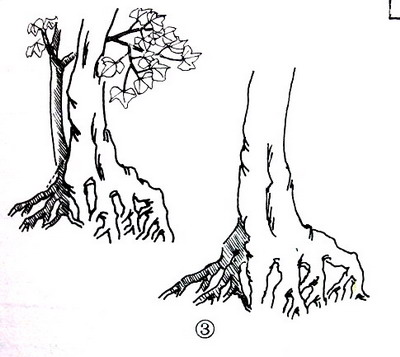 中国盆景欣赏及制作之七 - 乘成 - 乘成休闲吧