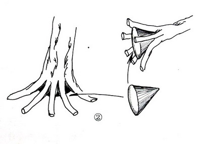 中国盆景欣赏及制作之七 - 乘成 - 乘成休闲吧