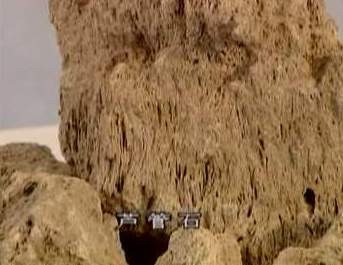 中国盆景欣赏及制作之九 - 乘成 - 乘成休闲吧