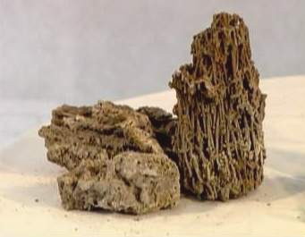 中国盆景欣赏及制作之九 - 乘成 - 乘成休闲吧