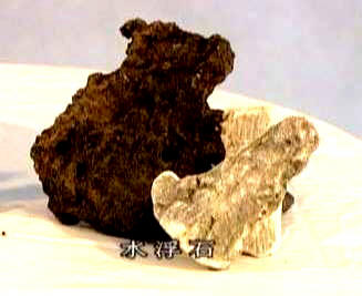 中国盆景欣赏及制作之九 - 乘成 - 乘成休闲吧