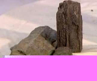 中国盆景欣赏及制作之九 - 乘成 - 乘成休闲吧