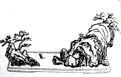 中国盆景欣赏及制作之九 - 乘成 - 乘成休闲吧