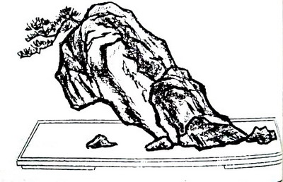 中国盆景欣赏及制作之九 - 乘成 - 乘成休闲吧