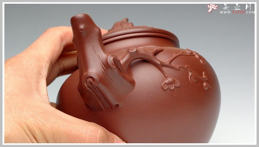 紫砂壶图片：报春 - 美壶网