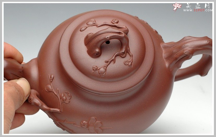 紫砂壶图片：报春 - 美壶网