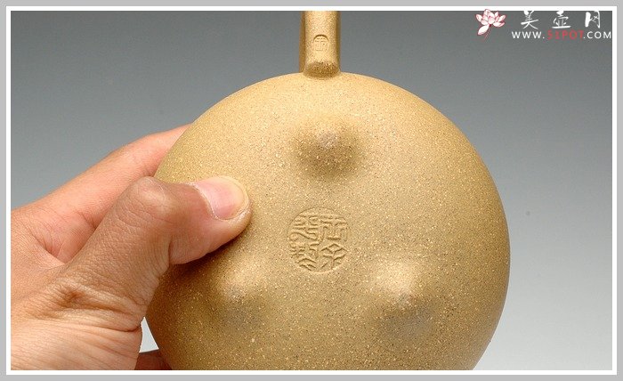 紫砂壶图片：乳丁 - 美壶网