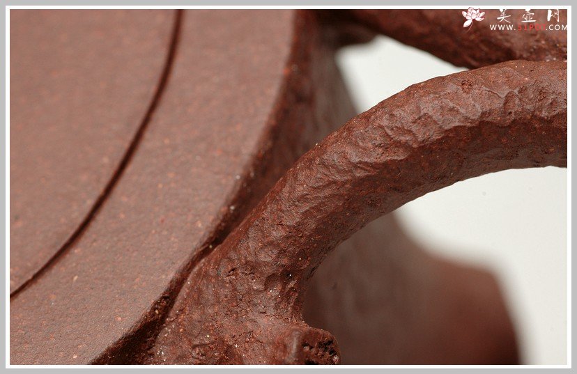 紫砂壶图片：苍健俊逸之全手松桩 - 美壶网