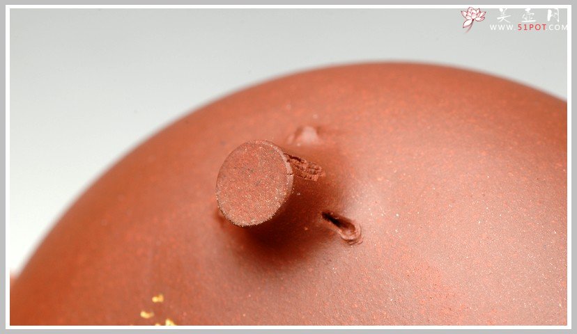 紫砂壶图片：自然之趣 翘嘴可人 甜趣 - 美壶网