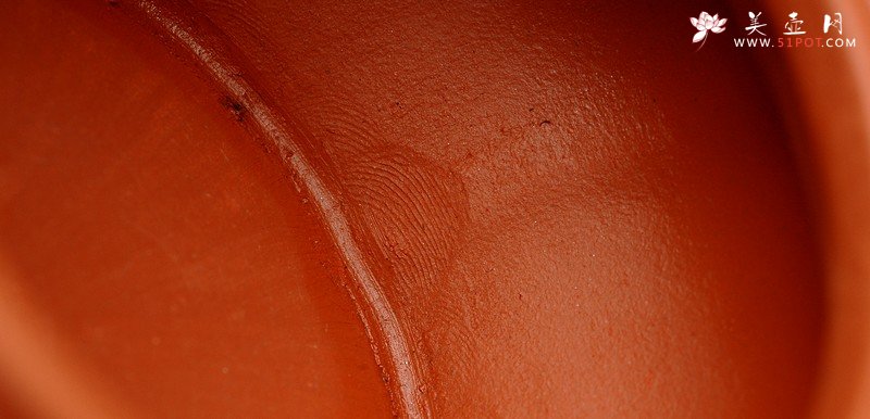 紫砂壶图片：蒋小琴老师新品 清丽婉约 全手老味宫灯 - 美壶网