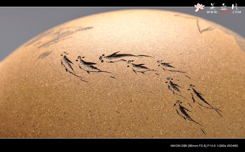 紫砂壶图片：充满活力 田园情趣 游鱼之乐 瓜趣2 - 美壶网