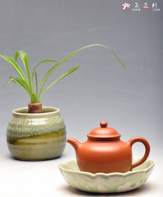 紫砂壶图片：秋水为神玉为骨 - 美壶网