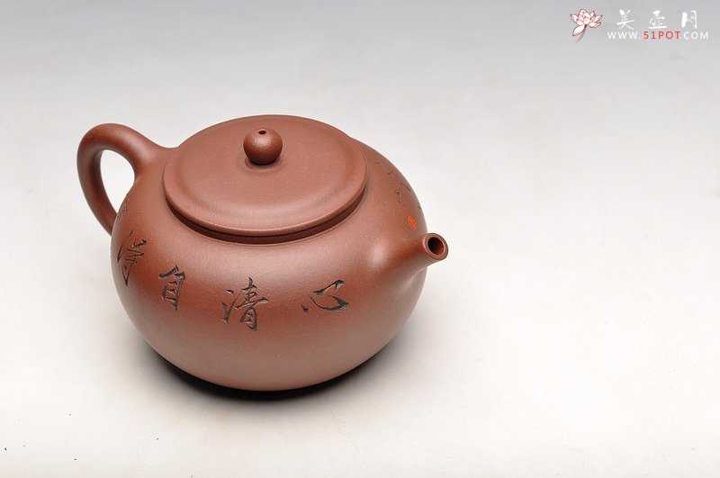 紫砂壶图片：炮管直流 枯枝鸟 古韵耐品 全手贡珠 - 美壶网