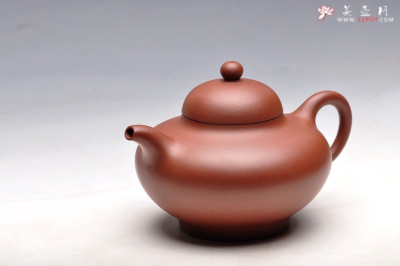 紫砂壶图片：秀气可人 体态丰润 尹君峰壬辰年新品 全手华颖 - 美壶网