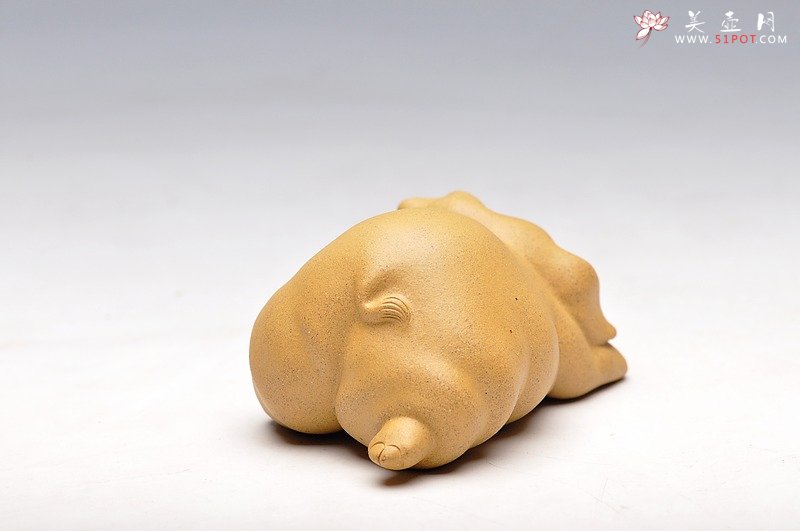 紫砂壶图片：小喜猪 福猪 壬辰年新品 优质段泥 不一般的甜蜜 - 美壶网