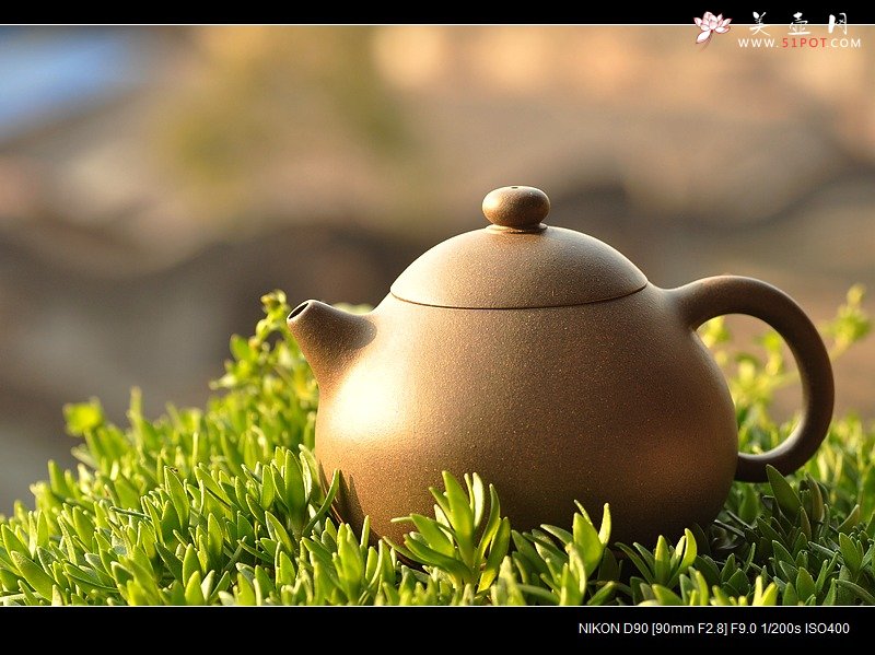 紫砂壶图片：古朴神韵 清雅圆融 全手老味文旦 尹君峰新作 - 美壶网