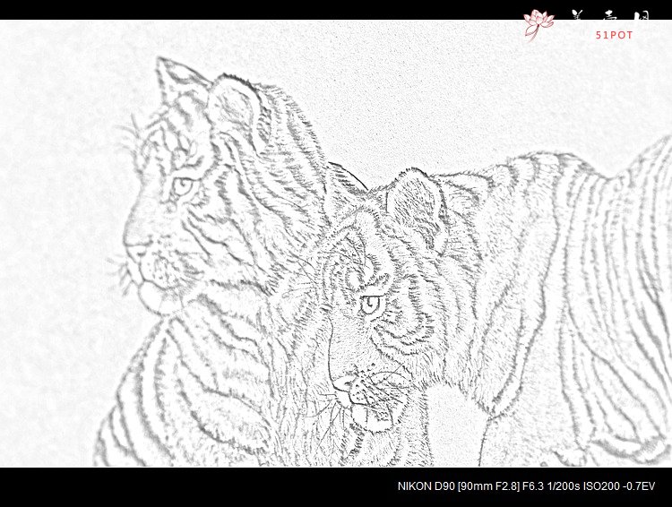 紫砂壶图片：虽是幼虎，然有兽王之气  有骨有肉 朱牧清两只老虎 40cm - 美壶网