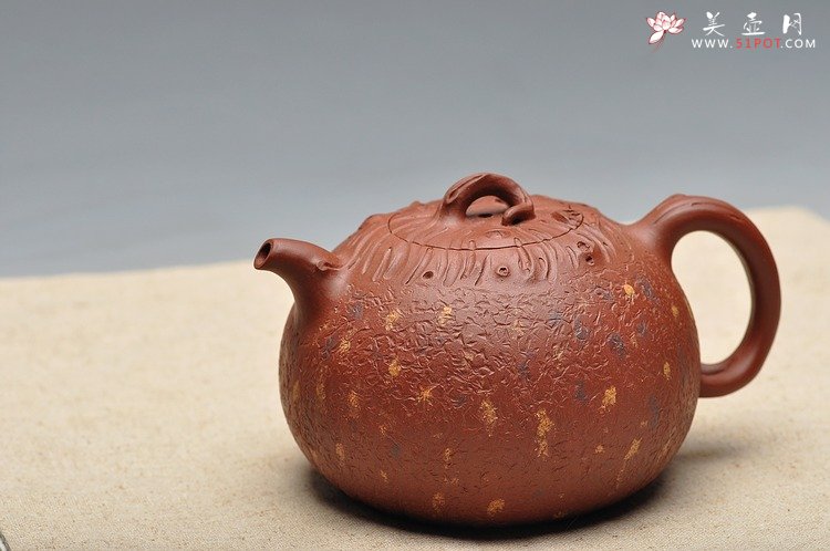 紫砂壶图片：蔡岩峰壬辰年最新原创力作 全手桩语  - 美壶网