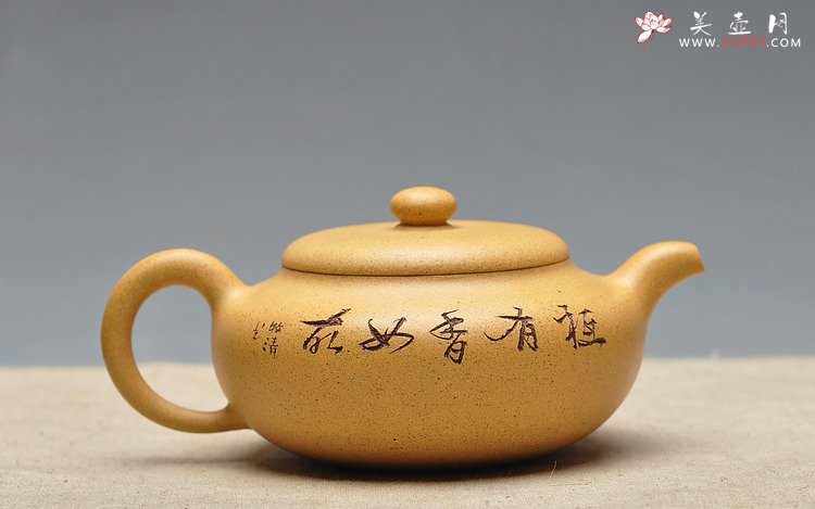 紫砂壶图片：淡雅得趣 文气小鸟 鼓韵 - 美壶网