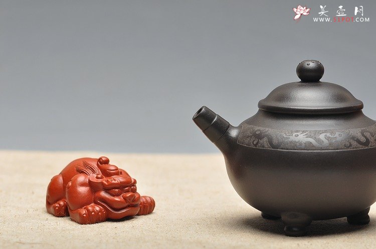 紫砂壶图片：蔡秀华 小中见大气 挺秀精神 龙珠 - 美壶网