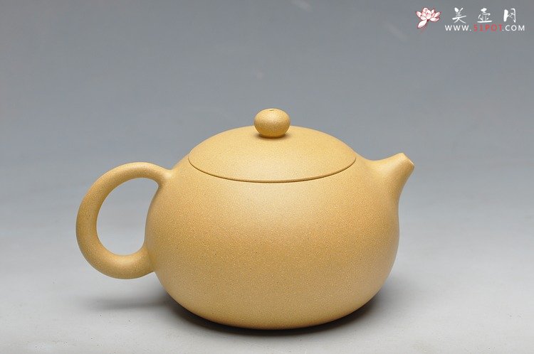 紫砂壶图片：本山绿 饱满可趣 经典西施 - 美壶网