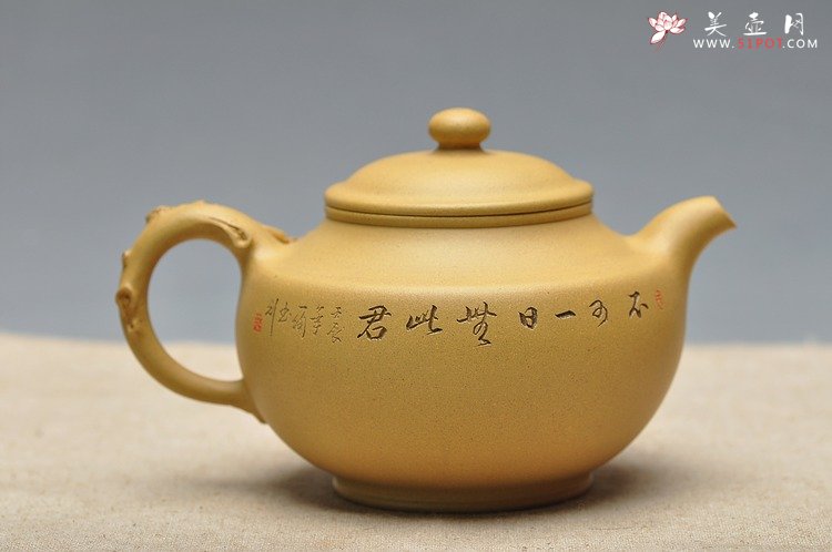 紫砂壶图片：不可一日无此君 宝葫芦 实用花货 - 美壶网