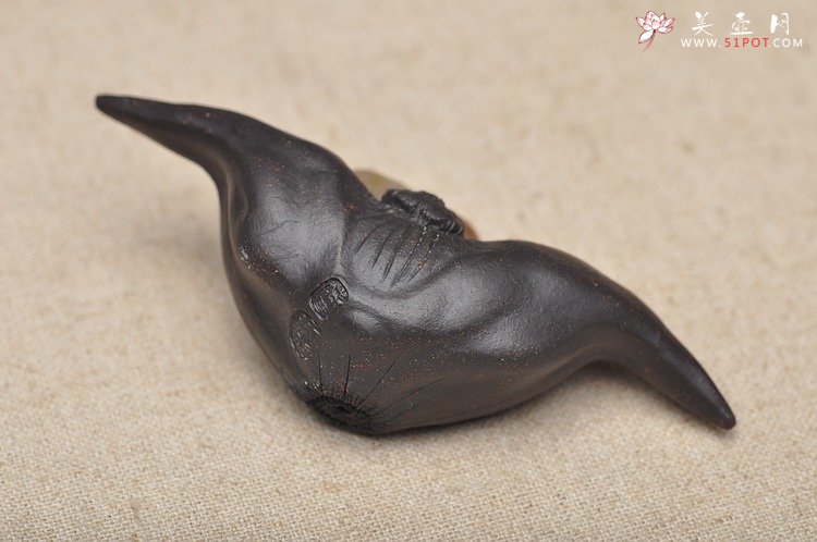 紫砂壶图片：精致版 菱角 逼真细腻 - 美壶网