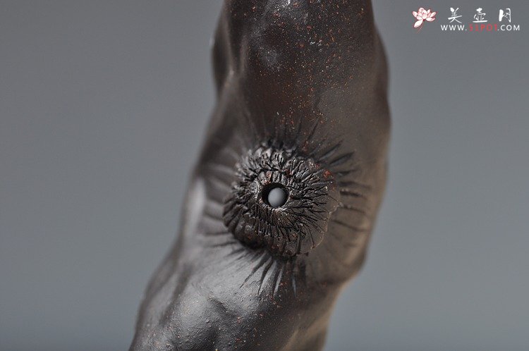 紫砂壶图片：精致版 菱角 逼真细腻 - 美壶网