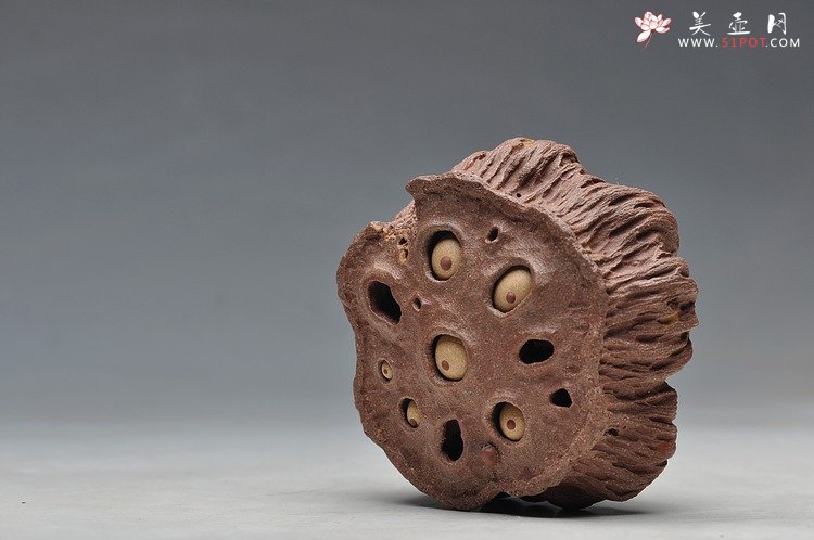 紫砂壶图片：《心心相莲》第三代作品——枯莲蓬茶宠 段泥 - 美壶网