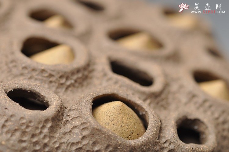 紫砂壶图片：文雅茶宠 手工精制 可看细节 精品 经典莲蓬 - 美壶网