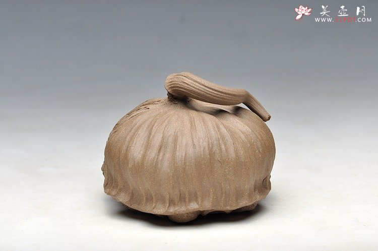 紫砂壶图片：文雅茶宠 手工精制 可看细节 精品 经典莲蓬 - 美壶网