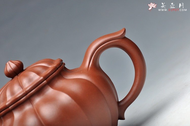 紫砂壶图片：线条流畅 清美之作 筋纹笑樱 - 美壶网