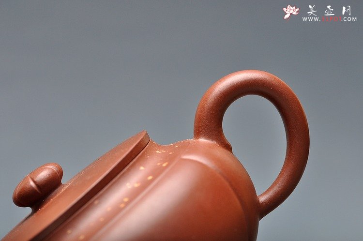 紫砂壶图片：灵气 薄胎实力 秋意 浓浓 - 美壶网