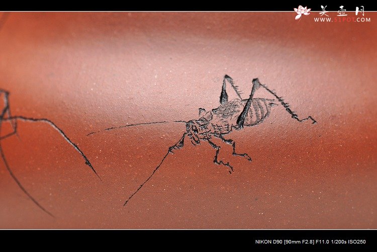 紫砂壶图片：造型简洁明快 线条流畅 极品老清水 葫芦 - 美壶网