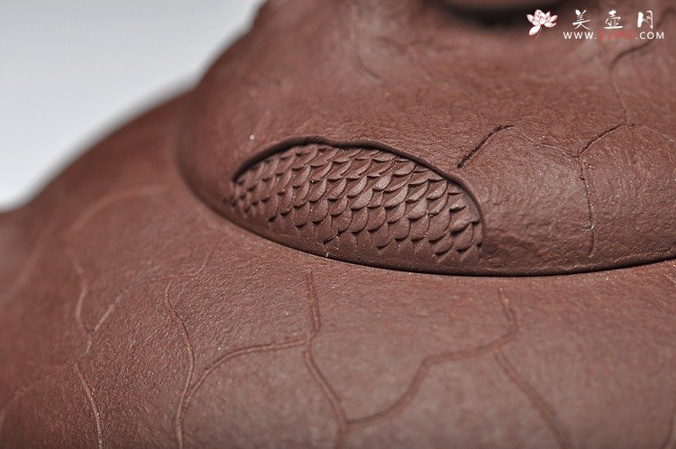 紫砂壶图片：藏龙龚春  双节特惠 送礼佳品 - 美壶网