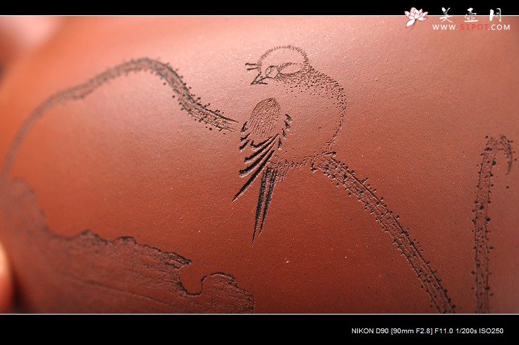 紫砂壶图片：清水泥 秋水 王翔荷叶鸟 亭亭玉立 - 美壶网