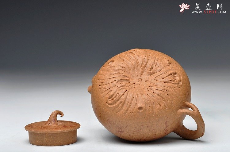 紫砂壶图片：蔡岩峰蜕变之作 新意心意 首创 全手野趣 - 美壶网