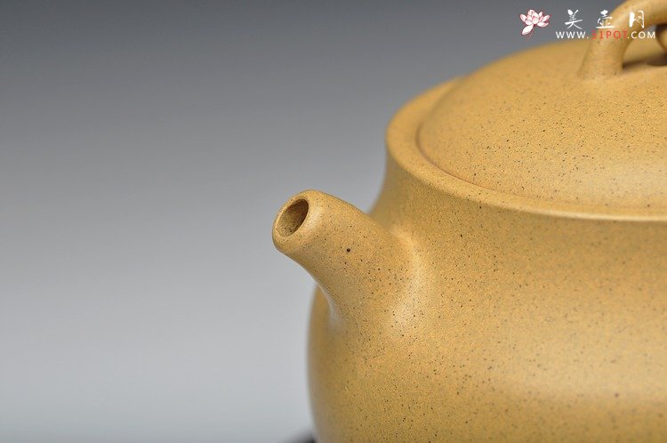 紫砂壶图片：造型新颖 敦厚可人 本山绿 全手禅钟 - 美壶网