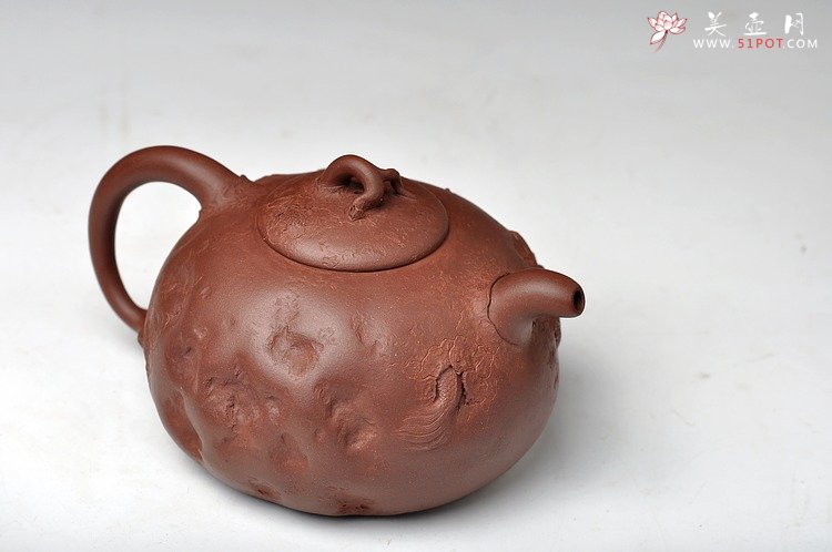 紫砂壶图片：孙金立 全手龙行龚春 精品代表作 丛林系列 - 美壶网