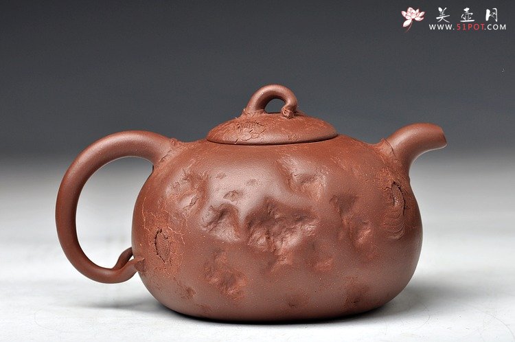 紫砂壶图片：孙金立 全手龙行龚春 精品代表作 丛林系列 - 美壶网