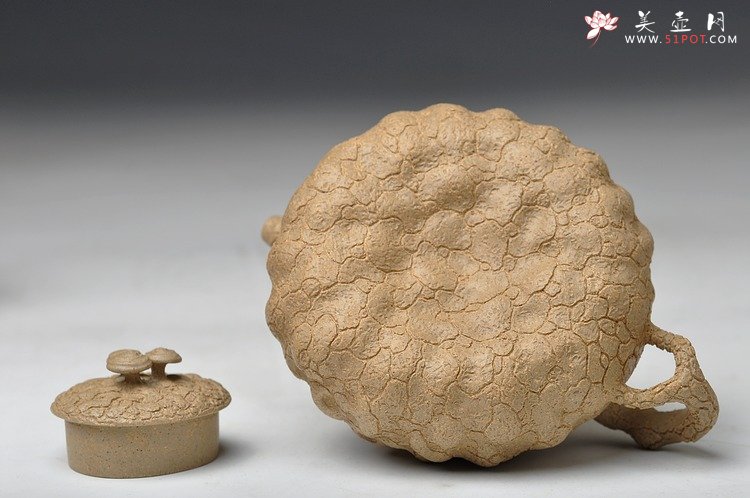 紫砂壶图片：邵惠雄风格 全手龚春 灵芝 薄胎 本山段泥 - 美壶网