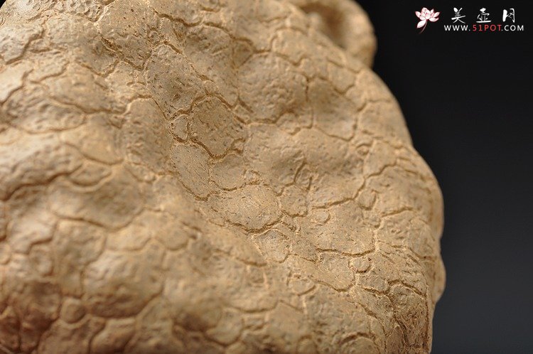 紫砂壶图片：邵惠雄风格 全手龚春 灵芝 薄胎 本山段泥 - 美壶网