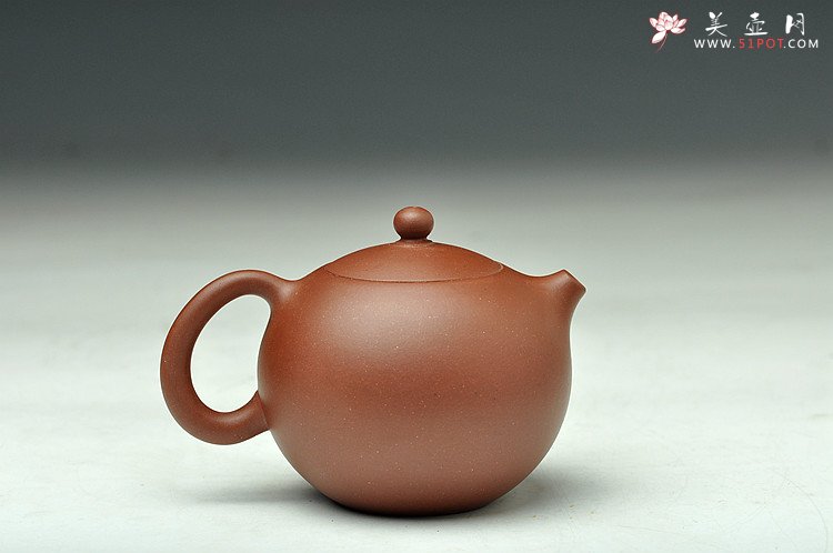 紫砂壶图片：天天特惠俏西施  带给你的家人和朋友 - 美壶网